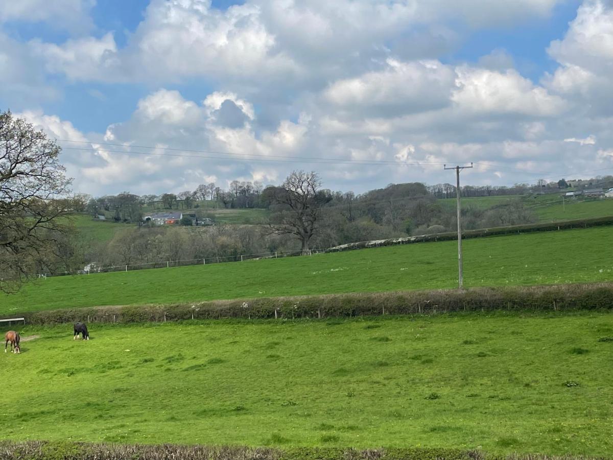 The Cottage Inn Llandeilo Bagian luar foto