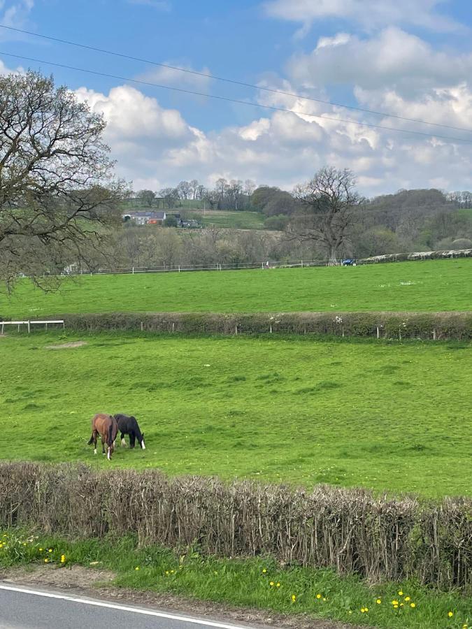 The Cottage Inn Llandeilo Bagian luar foto